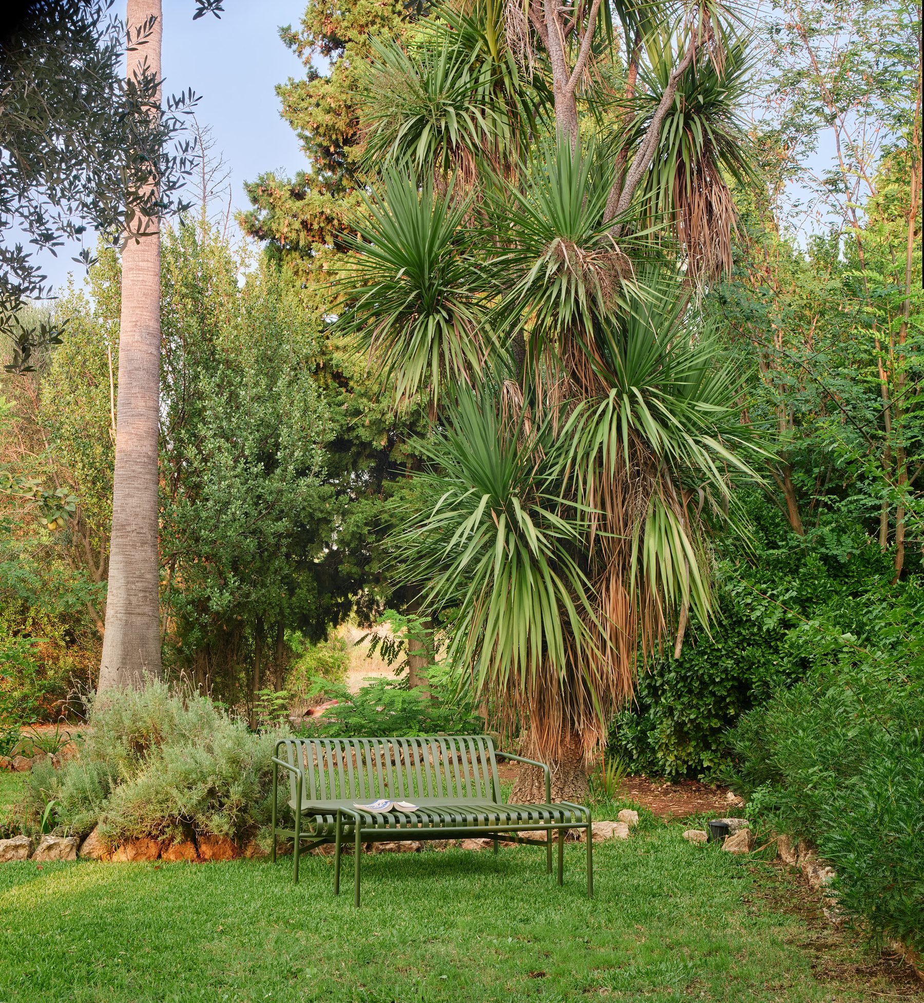 Garden with palm trees
