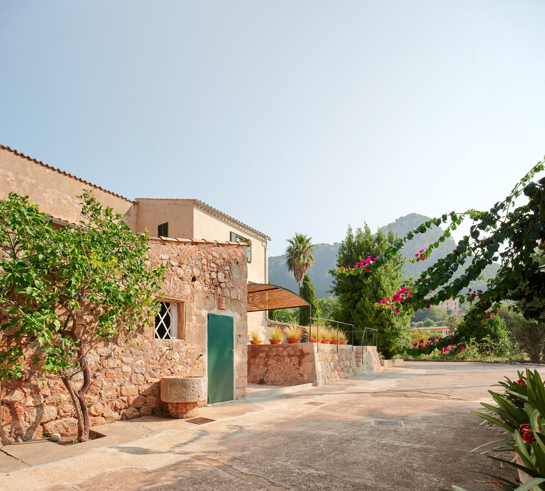 Entrance courtyard with bougainvillea